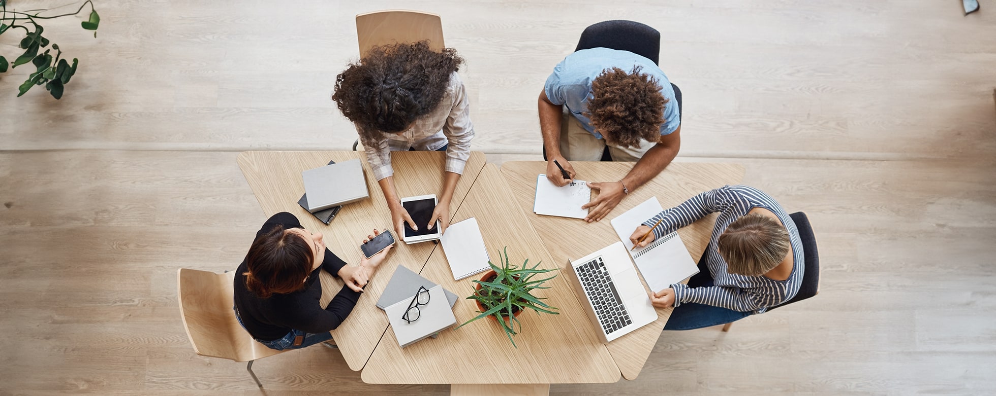 achat ou location locaux professionnels