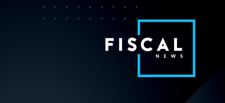 la société holding animatrice