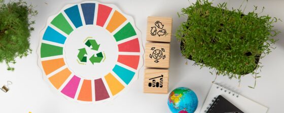 Économie de la Fonctionnalité : 7 Avantages Clés pour les Startups et Entrepreneurs