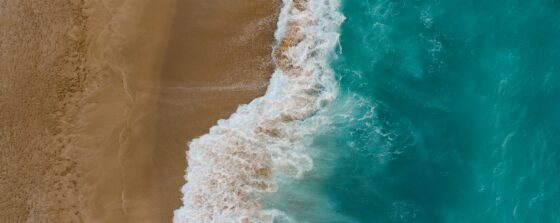 Peur de la concurrence ? Visez l’Océan Bleu !