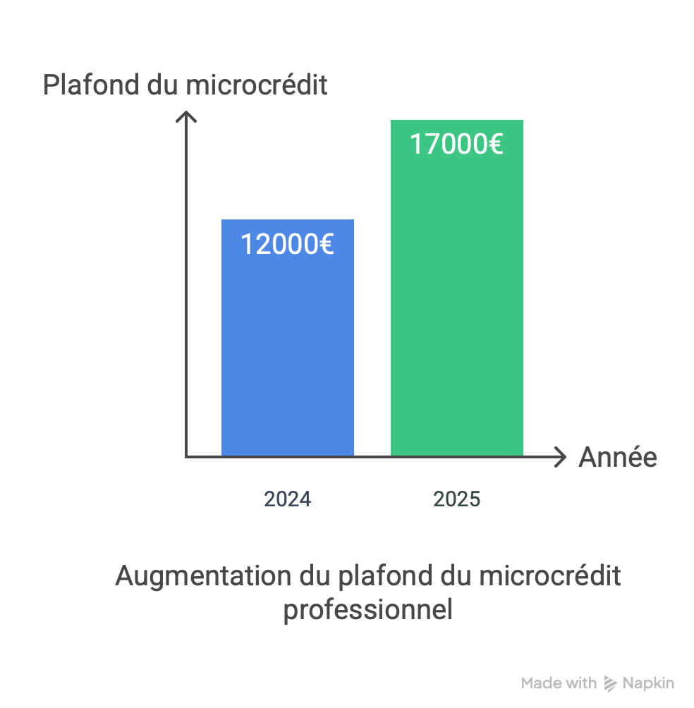 microcrédit professionnel