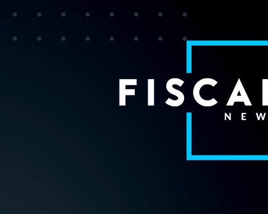 la société holding animatrice