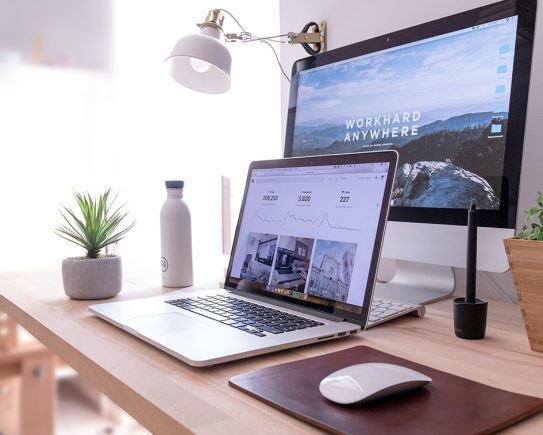 blog 2024 trafic seo