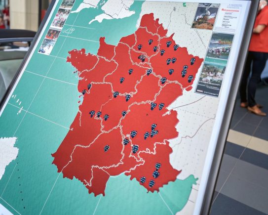 Marché français des entreprises 2025